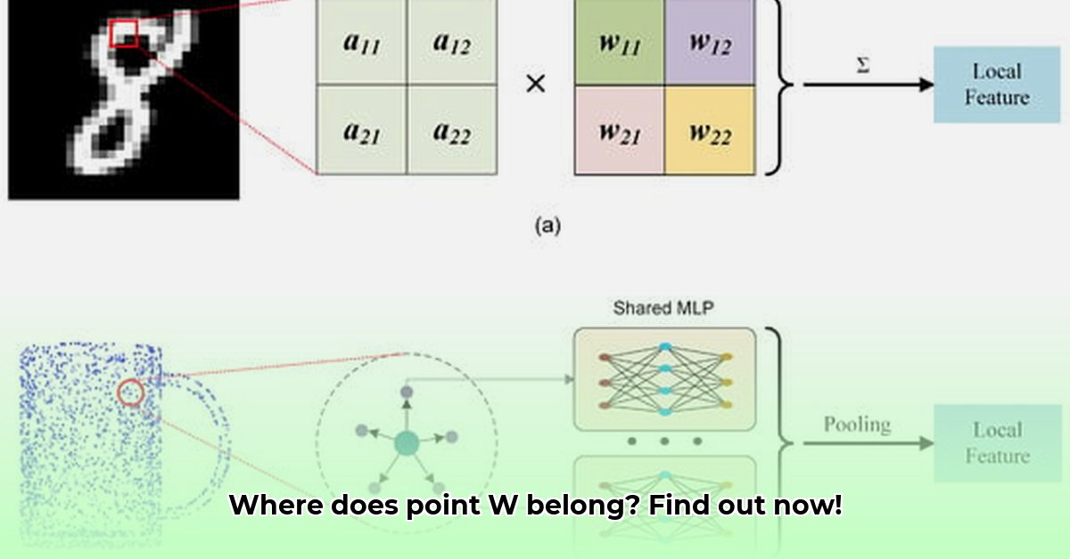 in-the-diagram-of-xyz-which-term-describes-point-w
